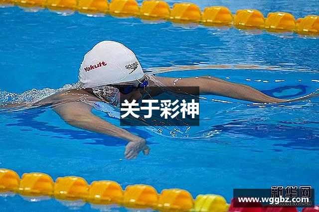 关于彩神